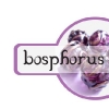 Logo: Bosphorus Designs