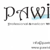 PAWI / The Professional American Women of Istanbul